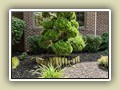 Landscaping & Lighting_027