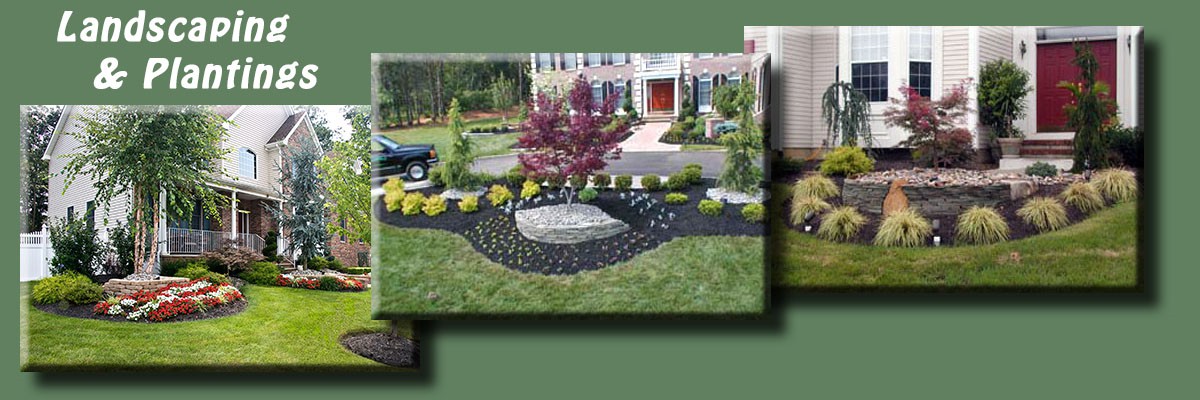 Landscaping & Plantings