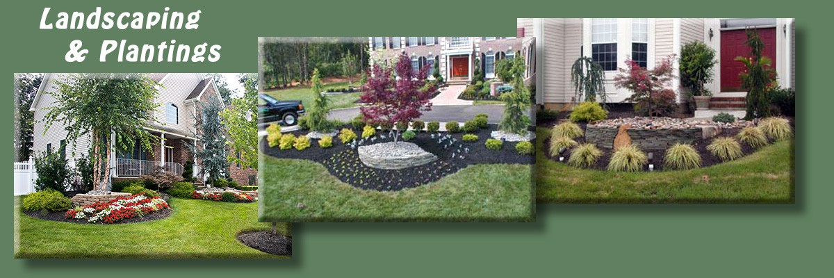 1-Landscaping & Plantings