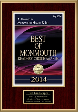Best of Monmouth Award