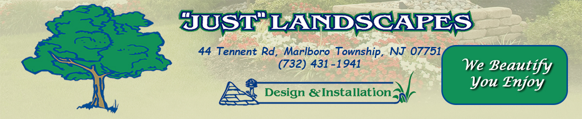 Just Landscapes Services Header