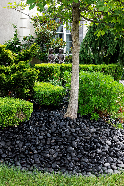 Front Landscaping