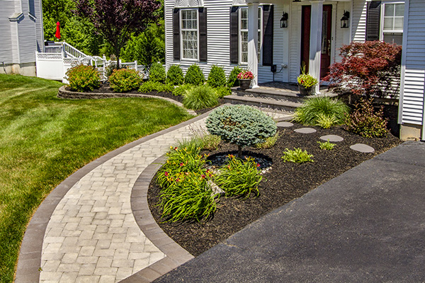 Front Paver Walkway & Landscaping