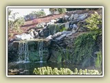 Landscape_8_028
